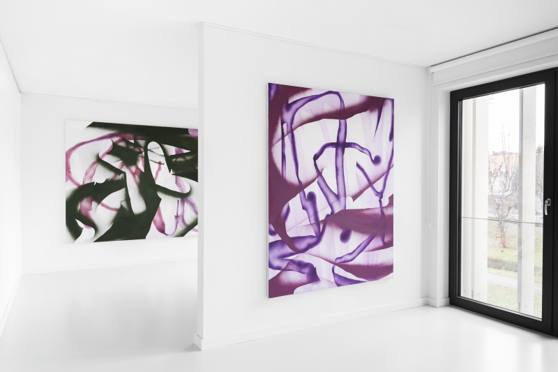 Głowa do wycierania, Molski Gallery, Poznań 2024