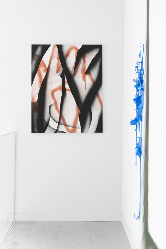 Głowa do wycierania, Molski Gallery, Poznań 2024