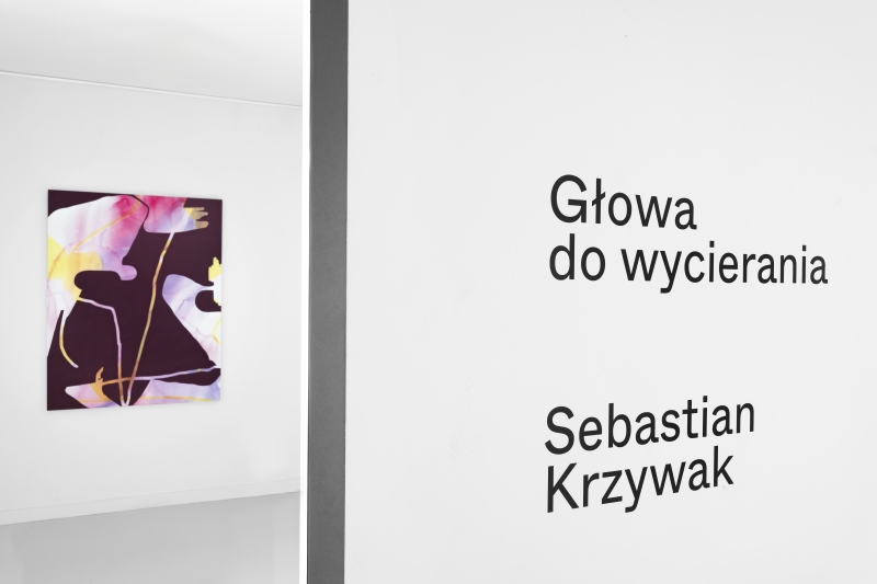 Głowa do wycierania, Molski Gallery, Poznań 2024